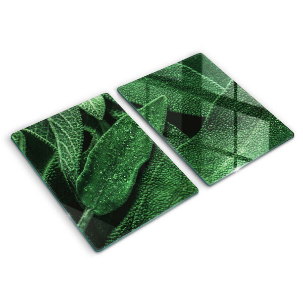 Chopping board Plant leaves