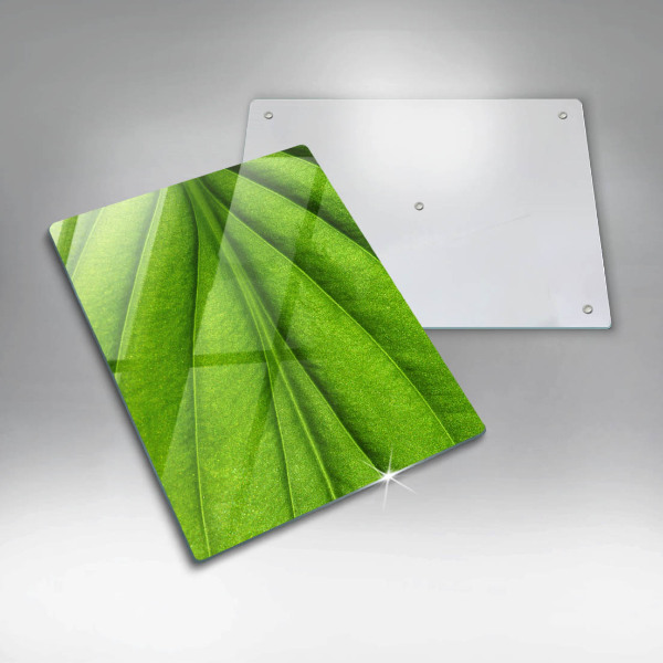 Worktop protector Nature leaf veins