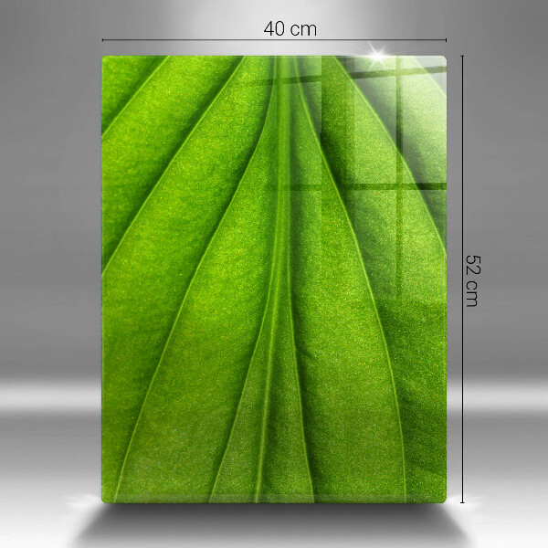 Worktop protector Nature leaf veins