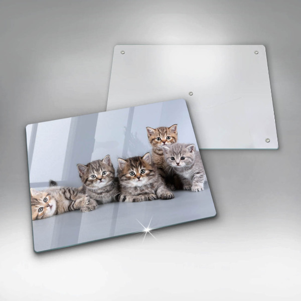 Chopping board glass Sweet small cats