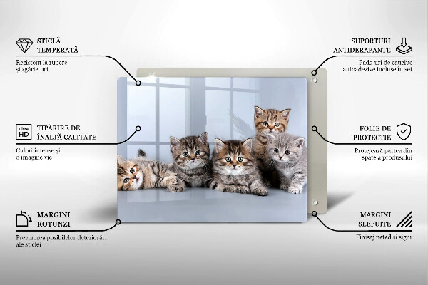 Chopping board glass Sweet small cats