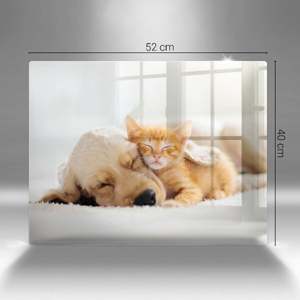 Chopping board glass Animals dog and cat