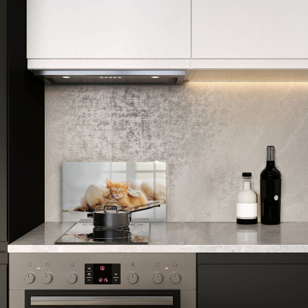 Chopping board glass Animals dog and cat