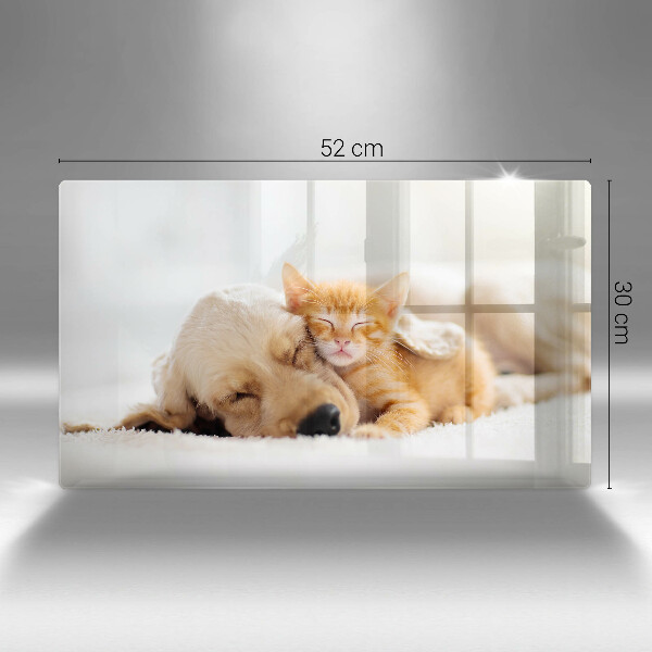 Chopping board glass Animals dog and cat