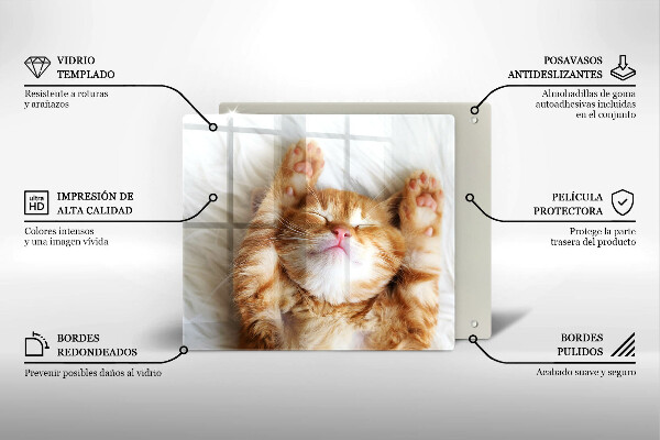 Chopping board Little sweet kitty