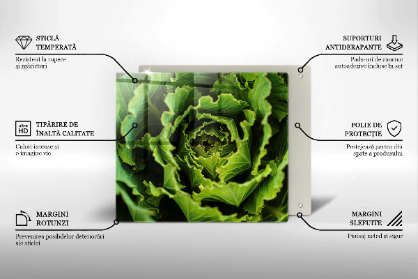 Chopping board Food - lettuce