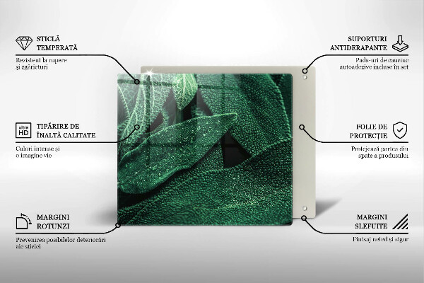 Chopping board Plant leaves