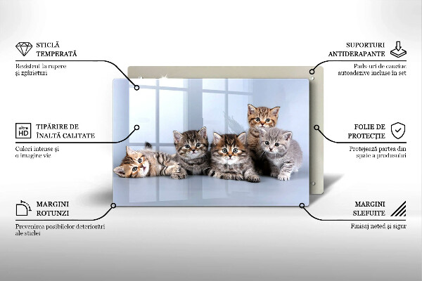 Chopping board glass Sweet small cats