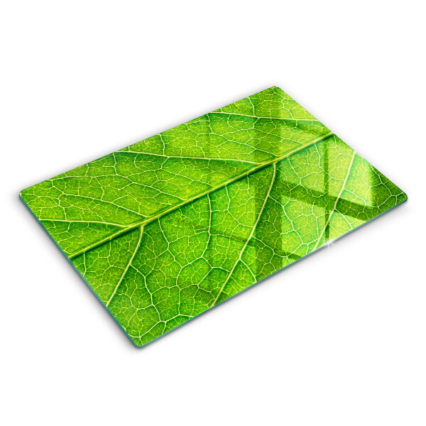 Chopping board glass Leaf lines nature