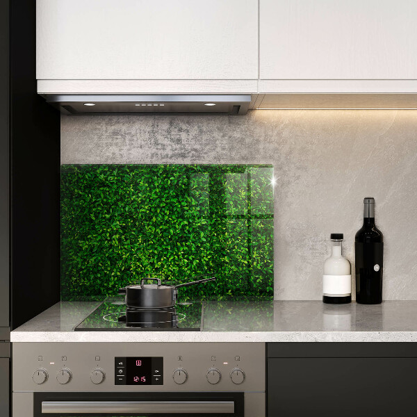 Glass kitchen board Plant small leaves