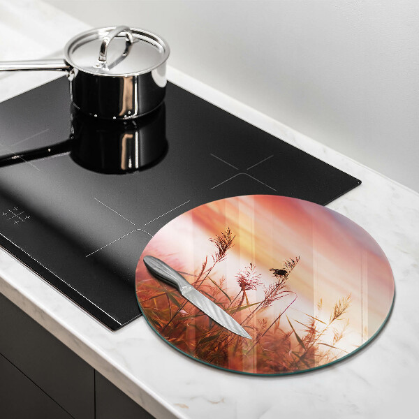 Glass worktop saver Landscape of grass fields