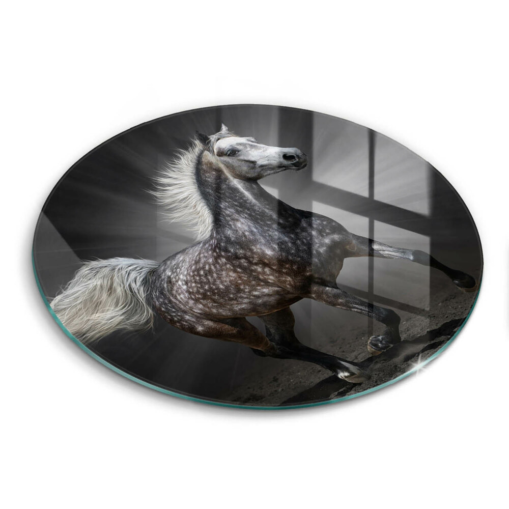 Glass worktop protector Horse at a gallop