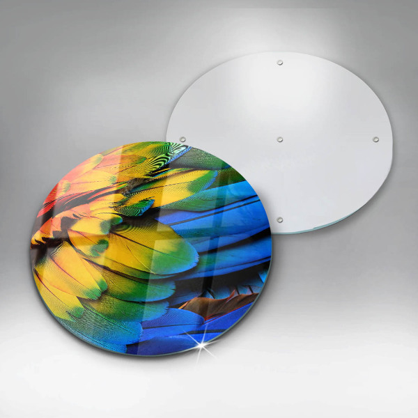 Kitchen worktop protector Colorful parrots