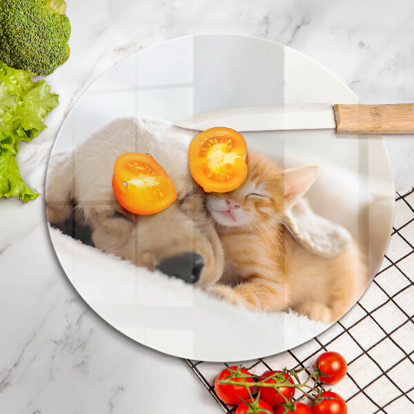 Kitchen worktop protector Animals dog and cat