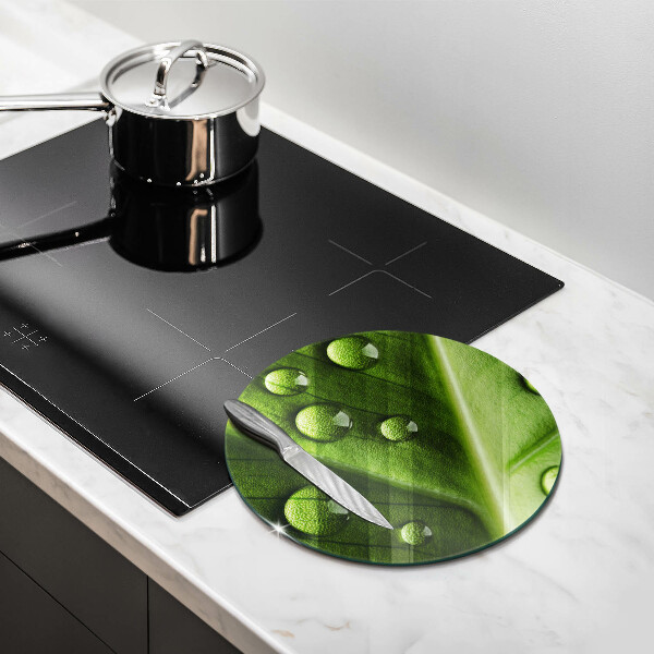 Glass worktop saver Nature Rosa and Leaf