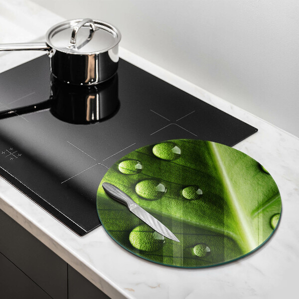 Glass worktop saver Nature Rosa and Leaf
