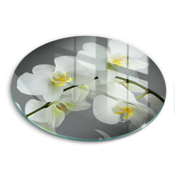 Glass worktop saver White orchid flowers