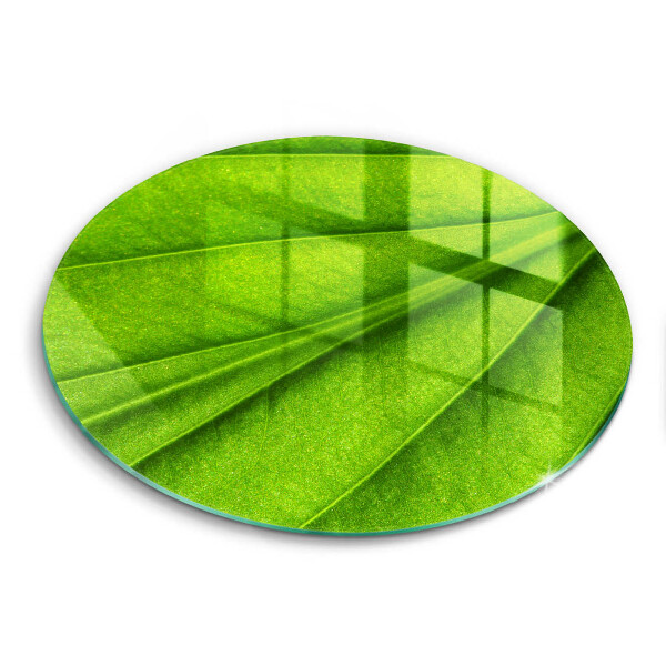 Glass worktop protector Nature leaf veins