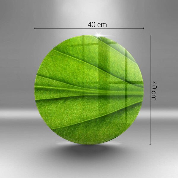 Glass worktop protector Nature leaf veins