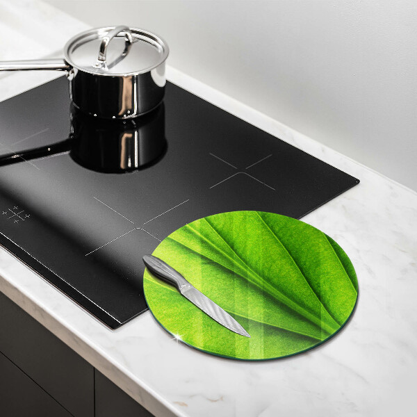 Glass worktop protector Nature leaf veins