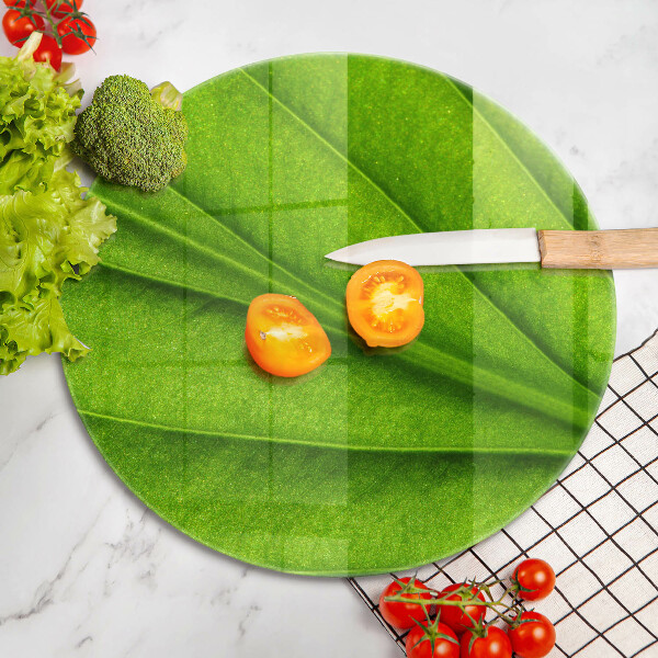 Glass worktop protector Nature leaf veins