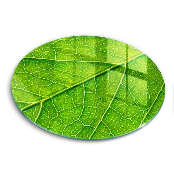 Glass worktop protector Leaf lines nature