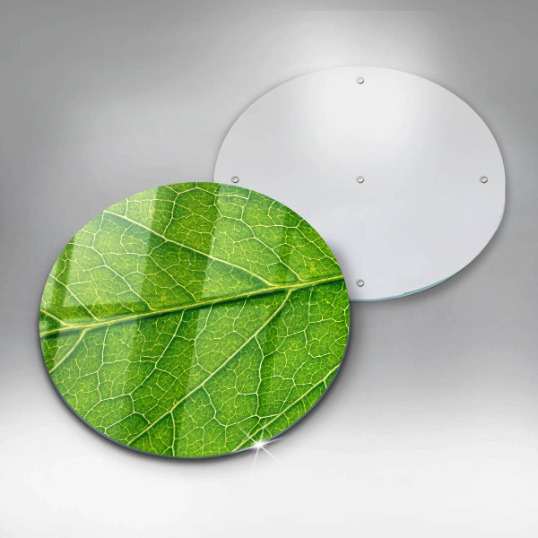 Glass worktop protector Leaf lines nature