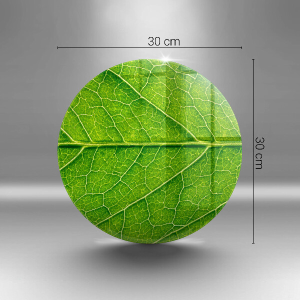 Glass worktop protector Leaf lines nature