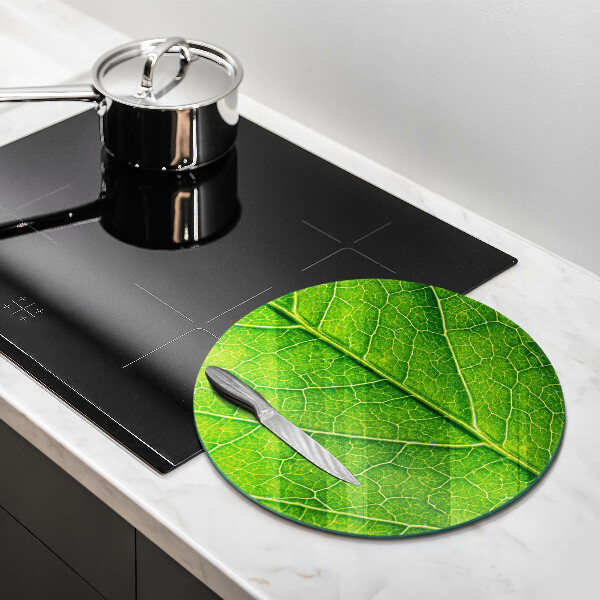 Glass worktop protector Leaf lines nature