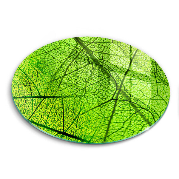 Glass worktop protector Natura leaves