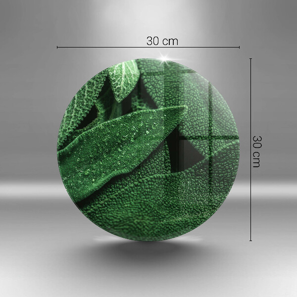 Glass worktop protector Plant leaves