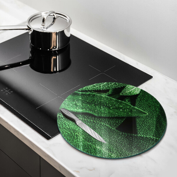 Glass worktop protector Plant leaves
