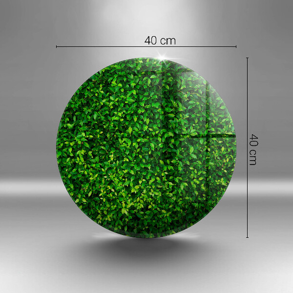 Kitchen worktop protector Plant small leaves