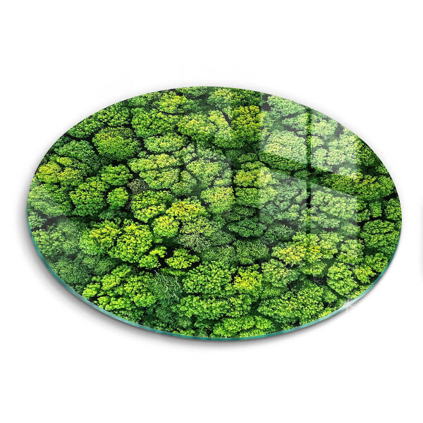 Chopping board glass Nature - moss plant