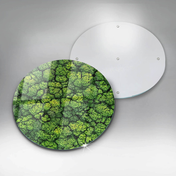Chopping board glass Nature - moss plant