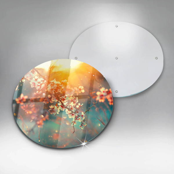 Glass worktop protector Apple flowers in the sun