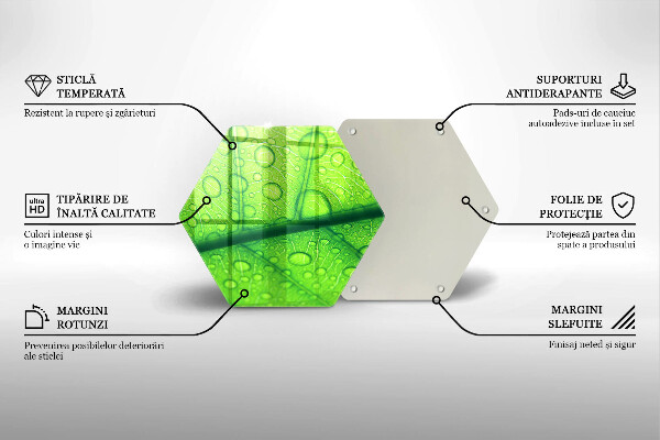 Glass kitchen board Leaf closer