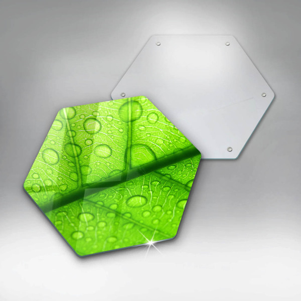 Glass kitchen board Leaf closer