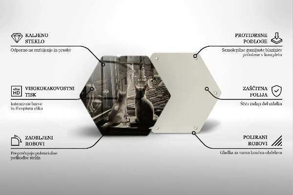 Kitchen worktop protector Cats city and window