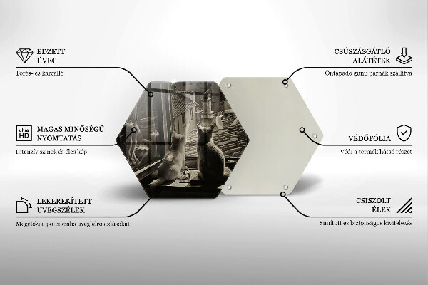 Kitchen worktop protector Cats city and window