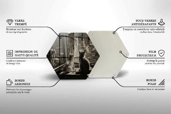 Kitchen worktop protector Cats city and window