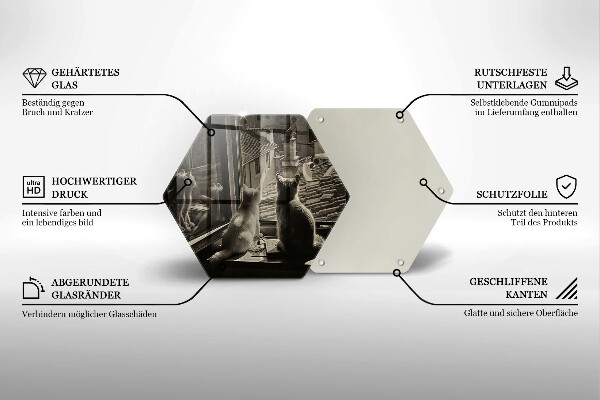 Kitchen worktop protector Cats city and window