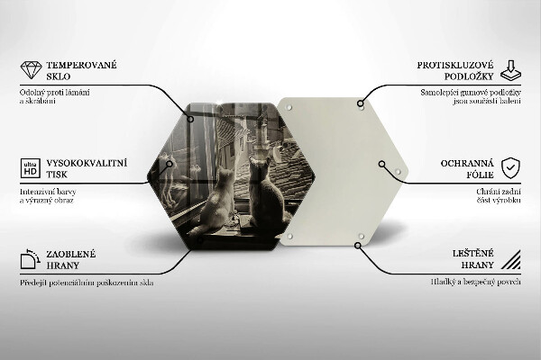 Kitchen worktop protector Cats city and window