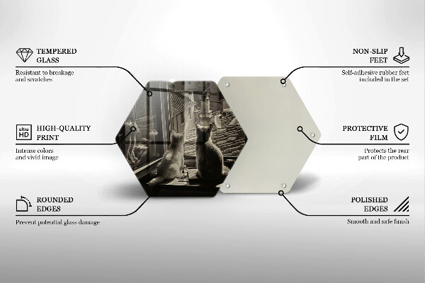 Kitchen worktop protector Cats city and window