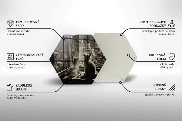 Kitchen worktop protector Cats city and window