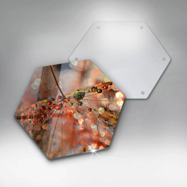 Kitchen worktop protector Wet dandelion