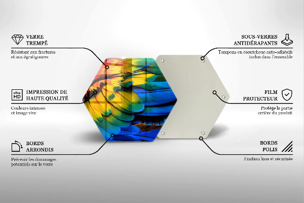 Chopping board glass Colorful parrots