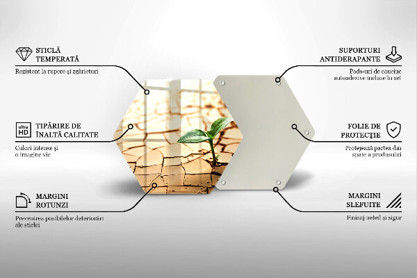 Kitchen worktop protector Lonely plant