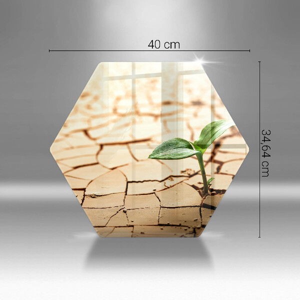 Kitchen worktop protector Lonely plant