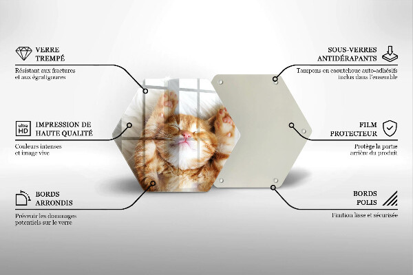 Kitchen worktop protector Little sweet kitty